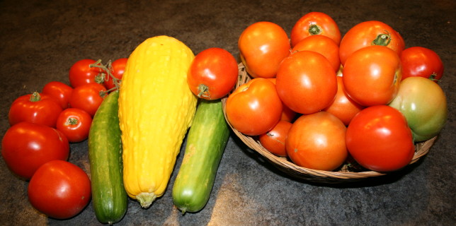 Food bites. Home grown vegetables.
